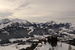 20230111144105 IMG 4292