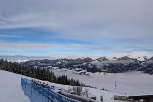 20230112121101 IMG 4319