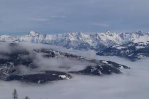 20230112121921 IMG 4328