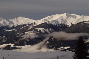 20230112154915 IMG 4396