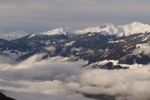 20230112155007 IMG 4399