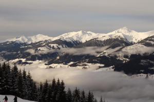 20230112155307 IMG 4401