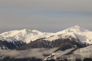20230112155317 IMG 4402