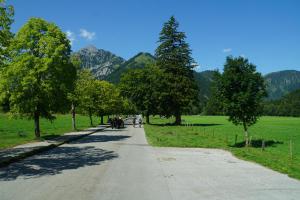 DSC02078