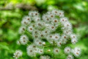 DSC00626-01