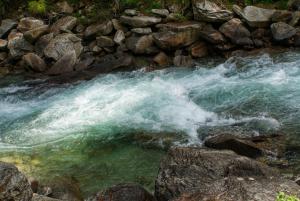 DSC00630-01