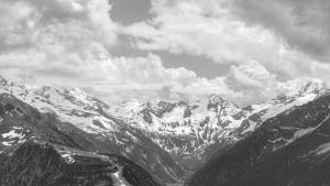 DSC00864 1-02