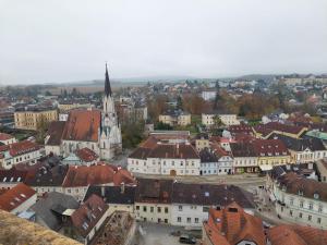 IMG-20221109-WA0004