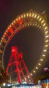 IMG-20221109-WA0011