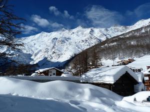 Zwitserse Alpen Januari 2018