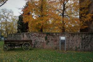 Zwitserland (18)