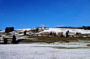 Zwitserland (24)