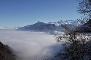 Zwitserland (241)