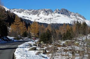 Zwitserland (258)