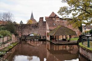 Zwitserland (9)