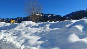 IMG-20220125-WA0005