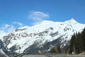 20220304114647 IMG 2925